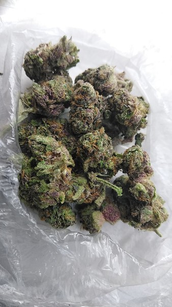 Gelato Strain (THC 20%)
