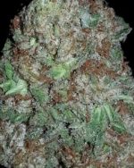AK-48