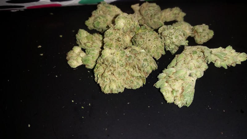 Gorilla Glue #4 Strain (THC 32%)