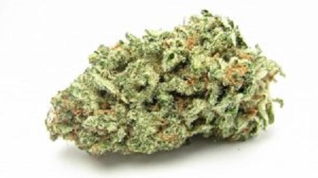 AK-47 Weed Strain (Hybrid)