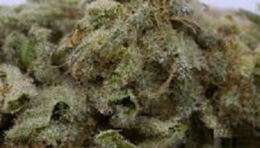 AK Banana