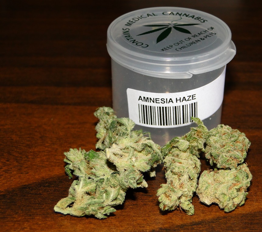 Amnesia Haze (Sativa)