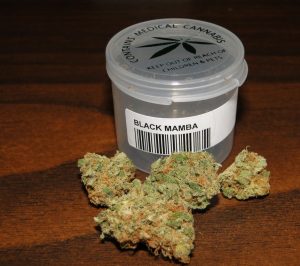 Black Mamba