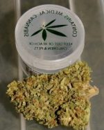 Blackberry Kush (Hybrid)