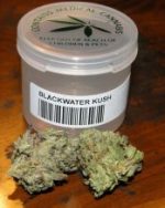 Blackwater Kush