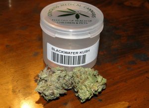 Blackwater Kush