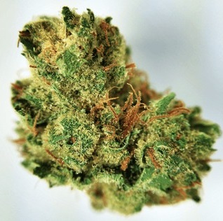 Gelato Strain (THC 20%) (Copy)