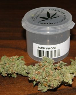 Jack Frost Strain