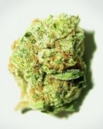 OG Kush