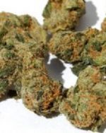 Pure Kush