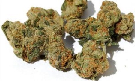 Pure Kush