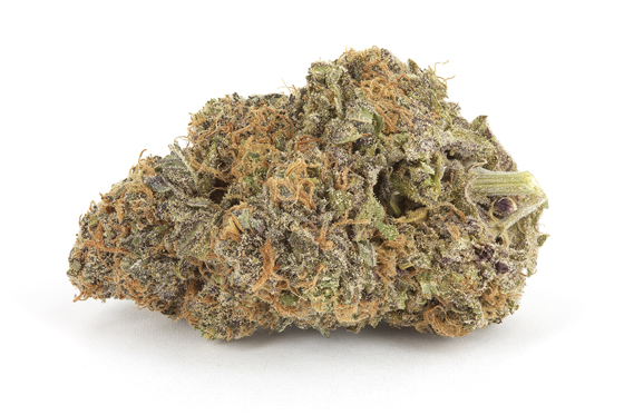 Grape Ape (THC: 21%)