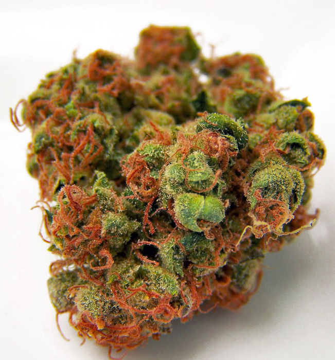 Panama Red(THC: 22%)