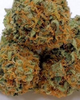 Strawberry Diesel (THC: 24%)