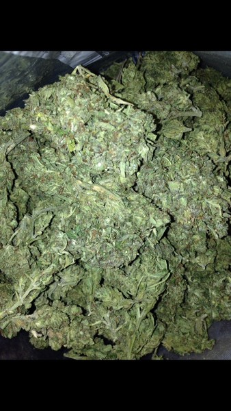 Super Lemon Haze Strain (THC 25%)/28 grams