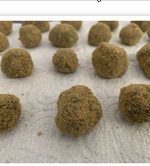 7g Moon Rocks (Dipped in oil) $224