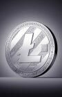 Stolen LTC Wallet with Balance 10.09948 LTC