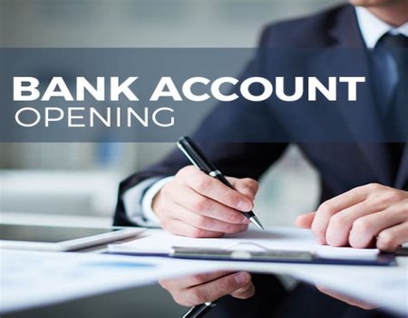 BANK ACCOUNTS/DROPS - Bluebird/BOA/Chime/CapitalOne/Chase/Citi/Discover/TD/Truist/Wells Fargo