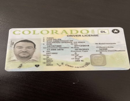 HQ USA FRESH REAL DRIVERS LICENSE SCAN ANY STATE + SELFIE (FROM REAL PEOPLE NOT FAKE DOCS)
