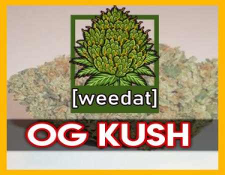 10g OG KUSH homegrown Weed Cannabis Marihuana Buds