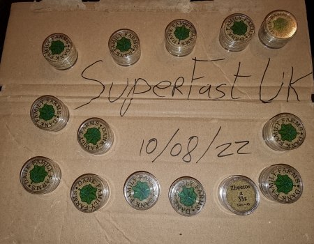 Zheetos X 33z 160u - 45 micron Hash - 30gbp a G - UK P and P included