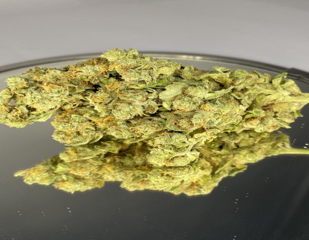 3.5G CRITICAL SOUR DIESEL A+++ TOP PRICES IN UK!!! NDD-FREE POSTAGE