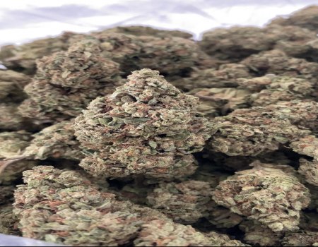 Biscotti - Deps (75/OZ - 1175/LB)