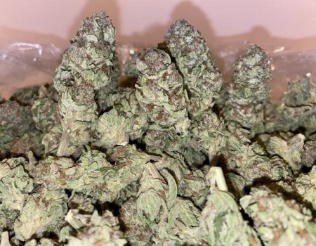 Hawaiian Punch - Indoor (125/OZ - 1950/LB)