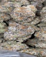 SugarPlum Kush - Exotic (240/OZ - 3750/LB)