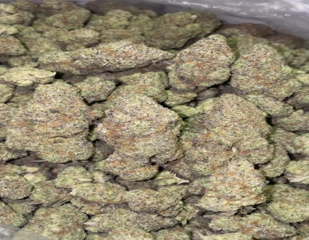 Rainbow Beltz - Indoor (145/OZ - 2275/LB)