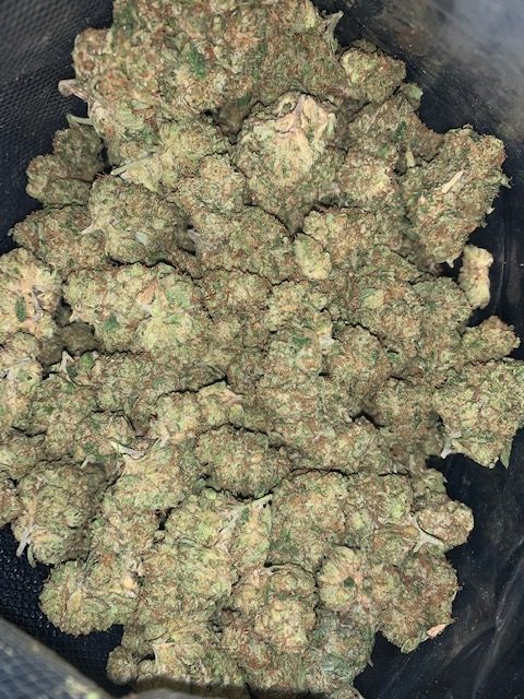 Wedding Cake AAA+++ ( 1LB ) SALE