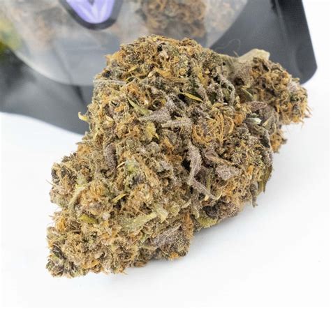 125G AAA+++ ORANGE DREAM TOP PREMIUM INPORT - NDD