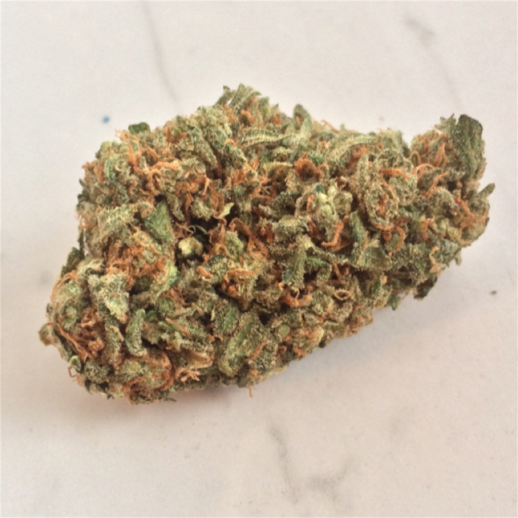 Amnesia 15g Premium weed