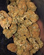 1 BUY HIGH GRADE MARIJUANA HALF POUND