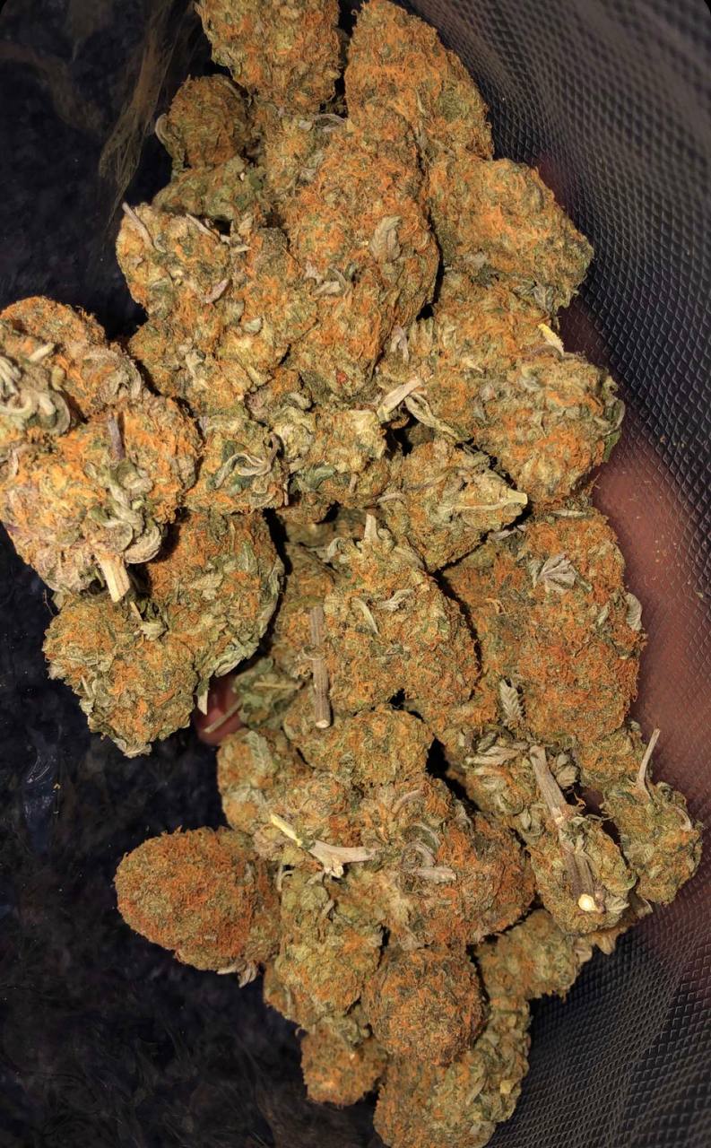 1 BUY HIGH GRADE MARIJUANA HALF POUND
