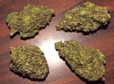 $1,000 Purple Kush 1LB 1 Pound 16oz Ounces HQ Indoor A+ 9.5/10