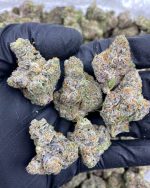 Cherry Gelato 1Ounce