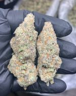 Gary Payton 1Ounce