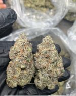 Candy Gelato 1Ounce
