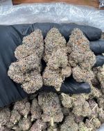 Alien Kush 1Ounce
