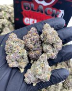 Black Gelato 1Ounce