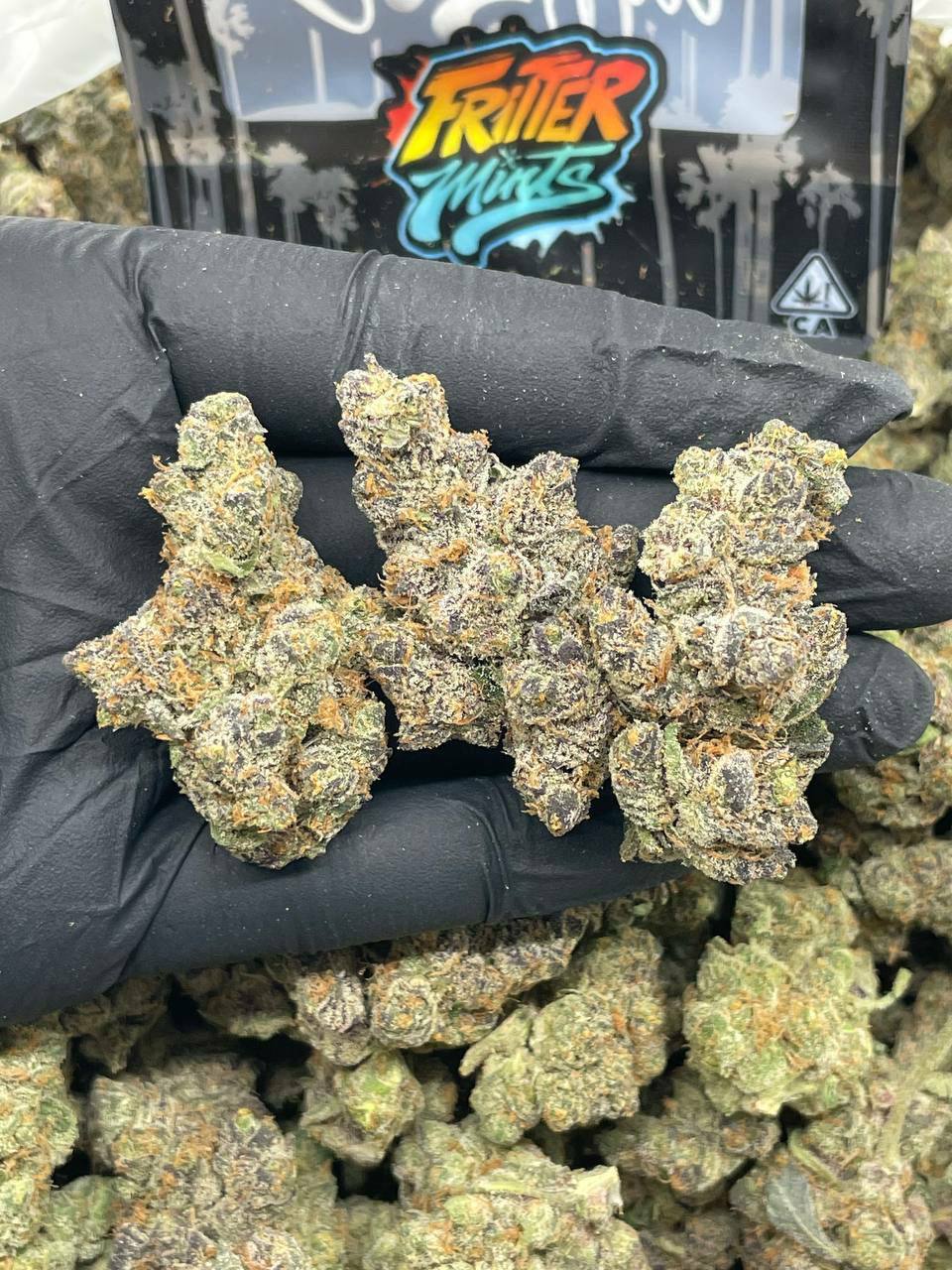 Fritter Mintz 1Ounce
