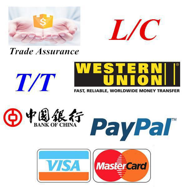 FAST PayPal TRANFER EVER (Clone)