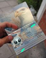 Get Registered Documents for all Countries (ID card, Driver Licenses, Passport, SSN)