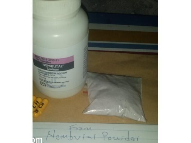 Nembutal powder 50g