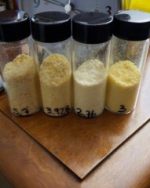 Buy DMT Online