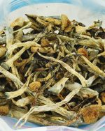 Shrooms – Daddy Long Legs