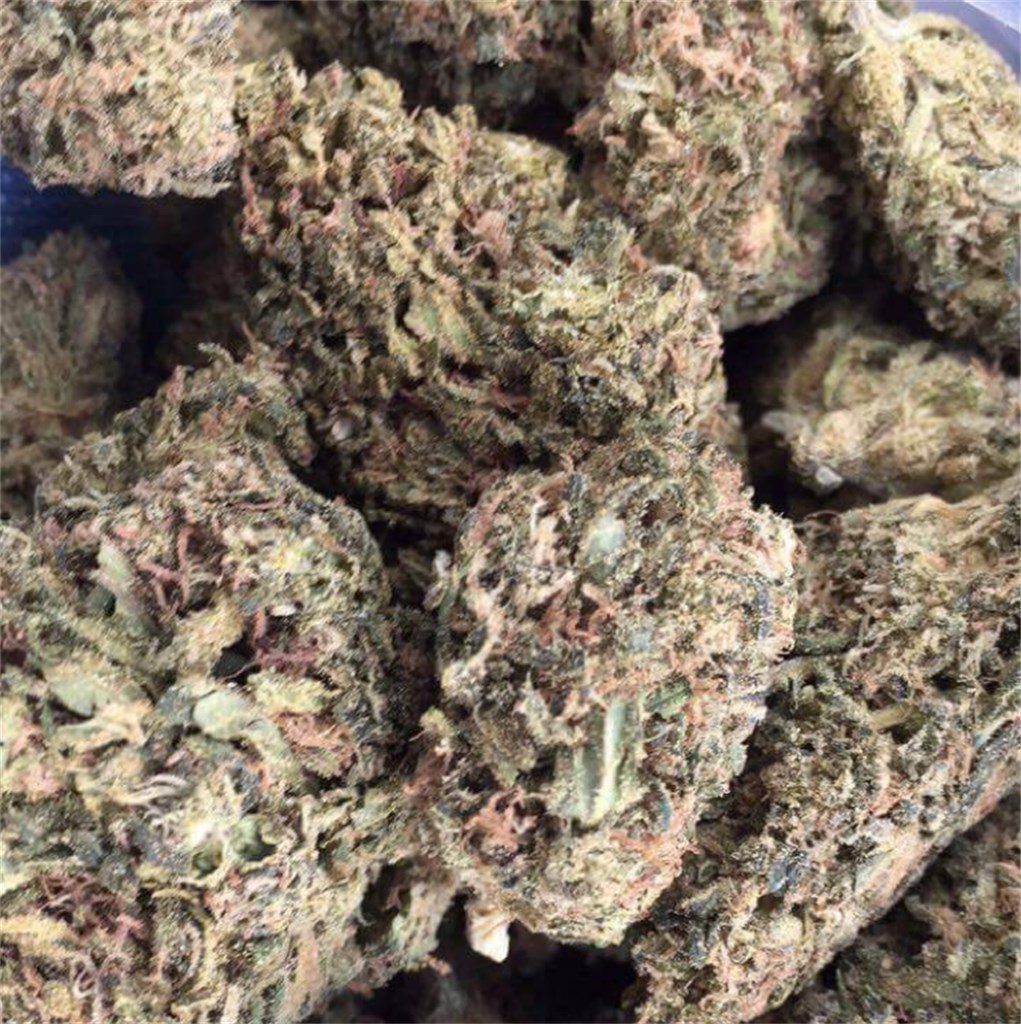Blue Dream Kush