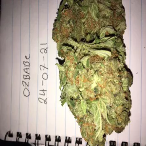 EL PRESIDENTE 28G - ozbabe