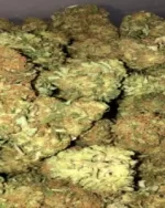 '''STRAIN OF THE MONTH'' promotion 28g